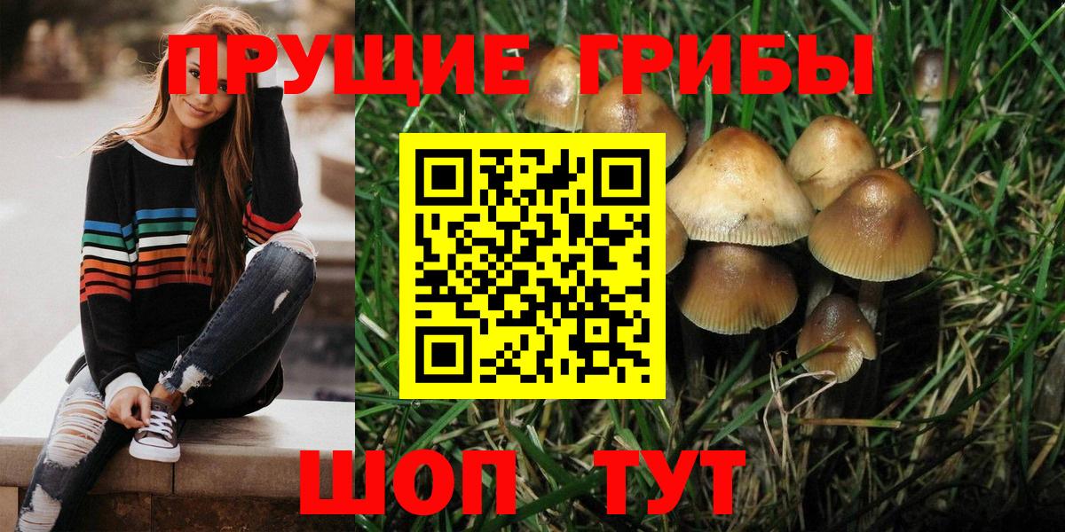 Псилоцибиновые грибы мухоморы  Псилоцибиновые грибы MAGIC MUSHROOMS  Вход с VPN  Гай 