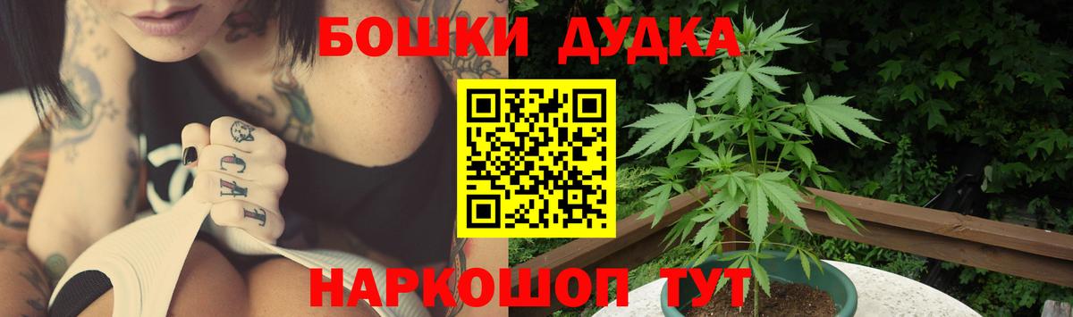 Бошки марихуана сатива Гай